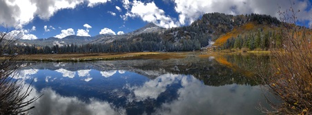 Enlarge photo 953