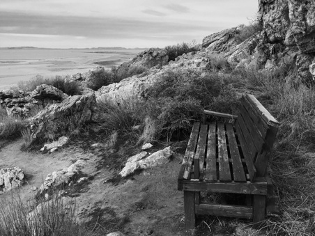 Enlarge photo 261