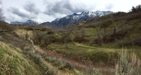 Enlarge photo 199