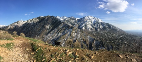Enlarge photo 134