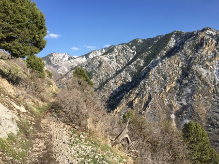 Enlarge photo 131