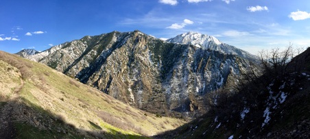 Enlarge photo 130