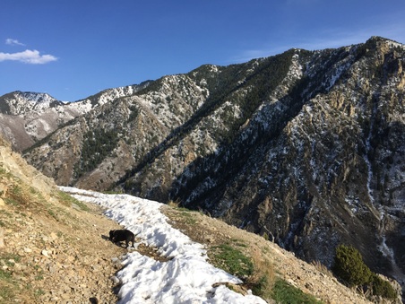 Enlarge photo 129