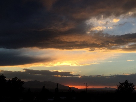 Enlarge photo 664