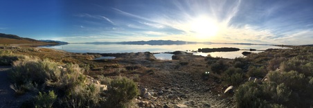 Enlarge photo 63