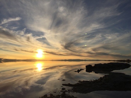 Enlarge photo 52