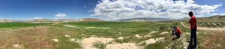 Enlarge photo 16