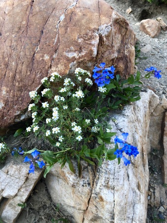 Enlarge photo 765