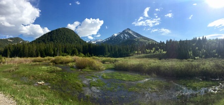 Enlarge photo 10