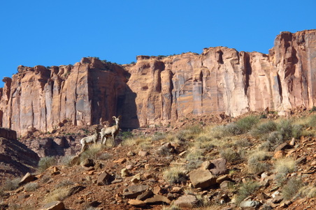 Enlarge photo 633