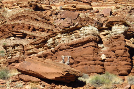 Enlarge photo 632