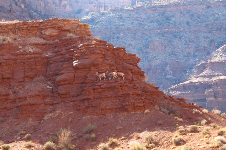 Enlarge photo 631