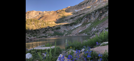 Enlarge photo 762