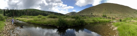 Enlarge photo 867