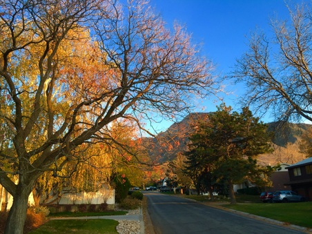Enlarge photo 535