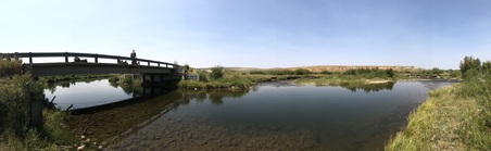 Enlarge photo 903