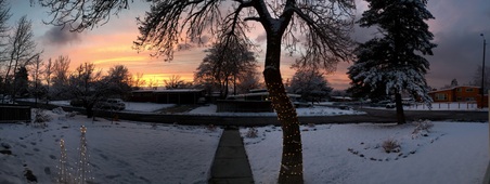 Enlarge photo 457