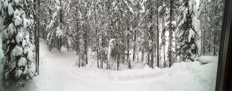 Enlarge photo 451