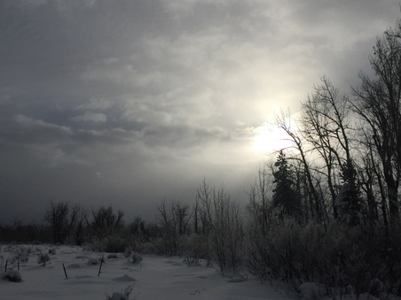 Enlarge photo 428