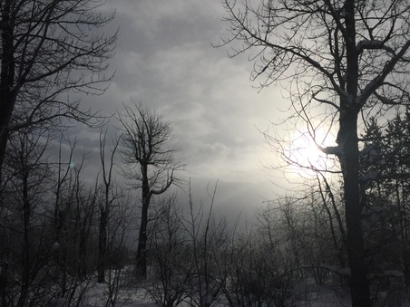 Enlarge photo 426
