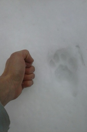 Enlarge photo 395