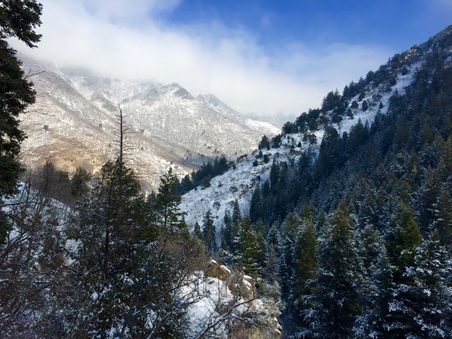 Enlarge photo 389