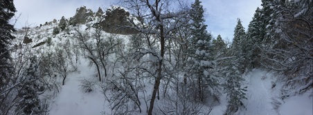 Enlarge photo 369