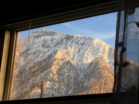 Enlarge photo 333