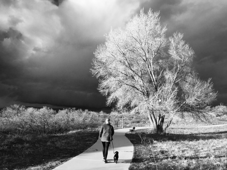 Enlarge photo 612