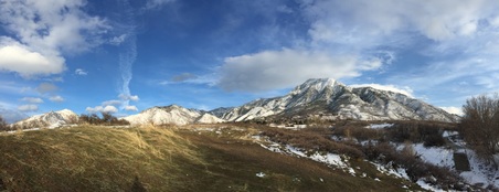Enlarge photo 297