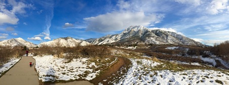 Enlarge photo 295
