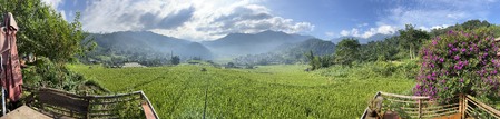 Enlarge photo 695