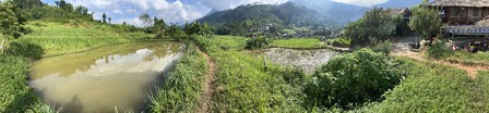 Enlarge photo 694