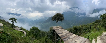 Enlarge photo 686