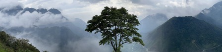 Enlarge photo 685