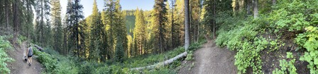 Enlarge photo 659