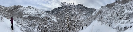 Enlarge photo 726