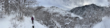 Enlarge photo 724