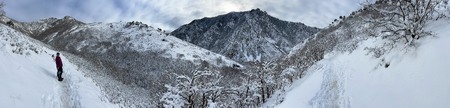 Enlarge photo 723