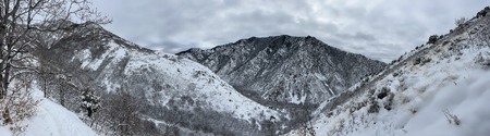 Enlarge photo 719