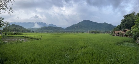 Enlarge photo 714
