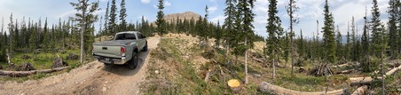 Enlarge photo 735