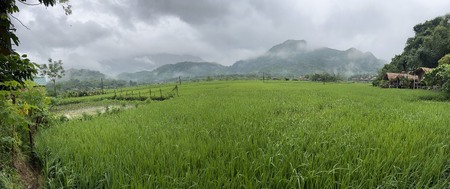 Enlarge photo 708