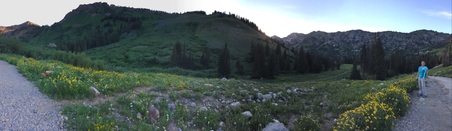 Enlarge photo 32