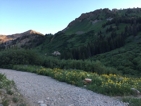 Enlarge photo 34