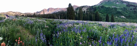 Enlarge photo 8