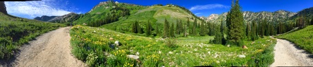 Enlarge photo 77