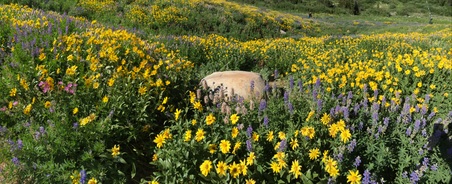 Enlarge photo 92