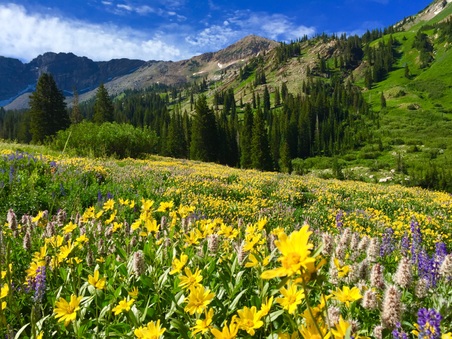 Enlarge photo 15