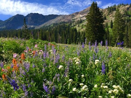 Enlarge photo 14